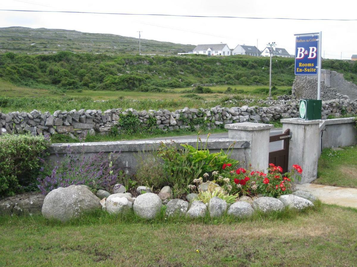 Radharc Na Ceibhe B&B H91 V0Y3 Kilronan  Extérieur photo